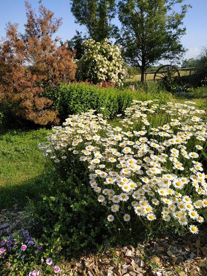 Les Bienfaits D'Harmonium Bed and Breakfast La Chapelle-Gaudin Εξωτερικό φωτογραφία
